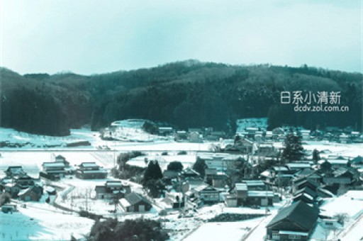 张雪峰最良心的一次建议，靠谱吗？