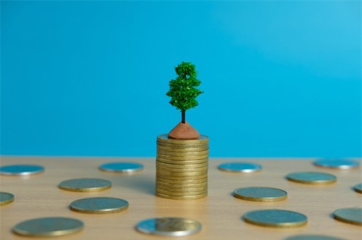 揭秘！你的花呗额度突然降到1000背后的真相是什么？