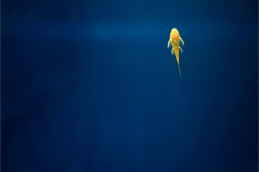 管理规模显著下滑、两年无新基发行！前海开源基金风险事件不断凸显内控缺失