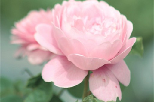 给300万的房子投保，一年要花多少钱？_ZAKER新闻