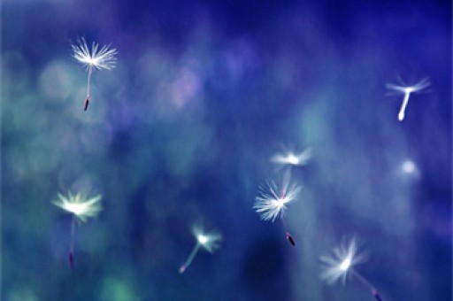  《英雄联盟》13周年活动中策划透露：致命节奏将回归！