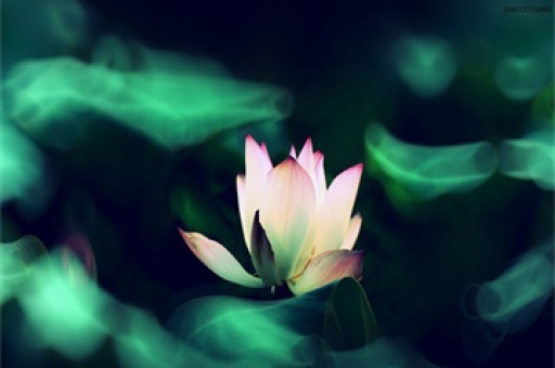  《黑神话：悟空》杨奇新一批角色原画大赏：虎先锋超霸气！