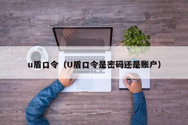 u盾口令（U盾口令是密码还是账户）