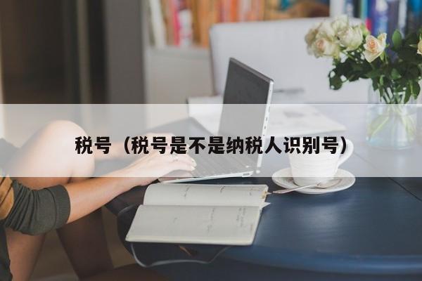 税号（税号是不是纳税人识别号）