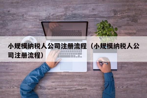 小规模纳税人公司注册流程（小规模纳税人公司注册流程）