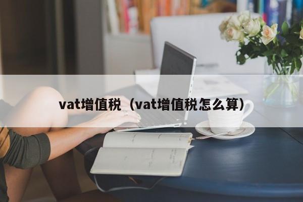 vat增值税（vat增值税怎么算）