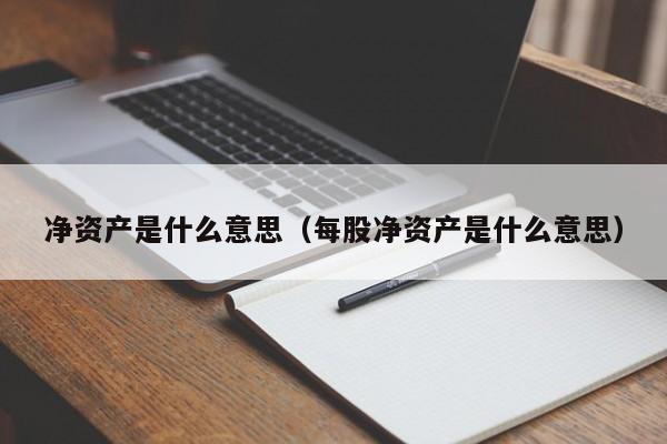 净资产是什么意思（每股净资产是什么意思）