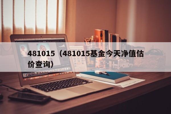 481015（481015基金今天净值估价查询）