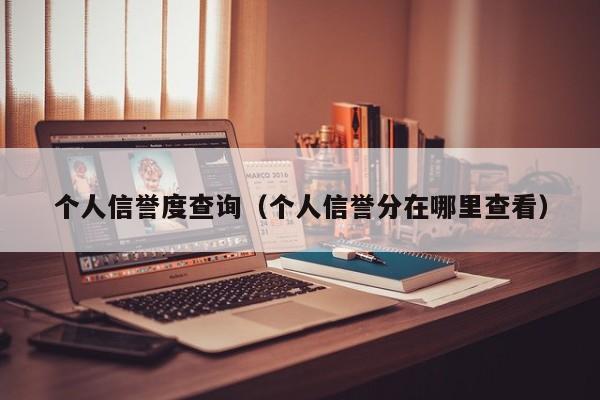 个人信誉度查询（个人信誉分在哪里查看）