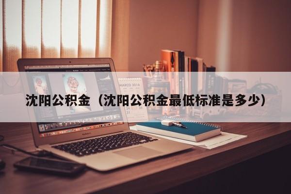 沈阳公积金（沈阳公积金最低标准是多少）