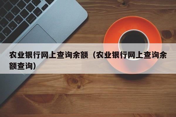 农业银行网上查询余额（农业银行网上查询余额查询）