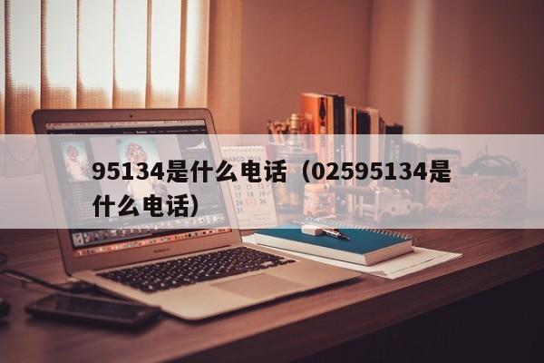 95134是什么电话（02595134是什么电话）