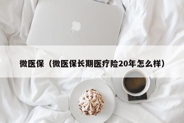 微医保（微医保长期医疗险20年怎么样）