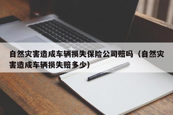 自然灾害造成车辆损失保险公司赔吗（自然灾害造成车辆损失赔多少）