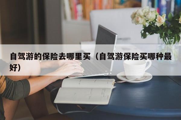自驾游的保险去哪里买（自驾游保险买哪种最好）