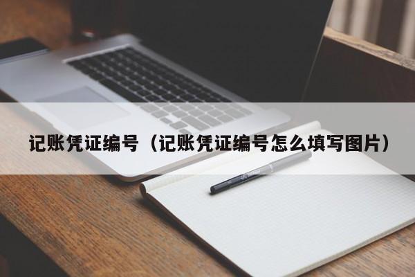 记账凭证编号（记账凭证编号怎么填写图片）