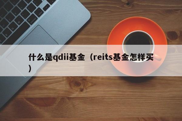 什么是qdii基金（reits基金怎样买）
