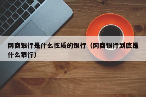 网商银行是什么性质的银行（网商银行到底是什么银行）