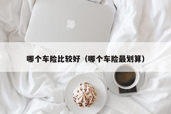 哪个车险比较好（哪个车险最划算）
