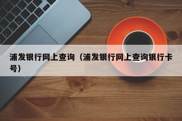 浦发银行网上查询（浦发银行网上查询银行卡号）