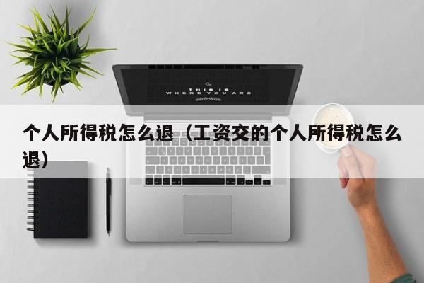 个人所得税怎么退（工资交的个人所得税怎么退）