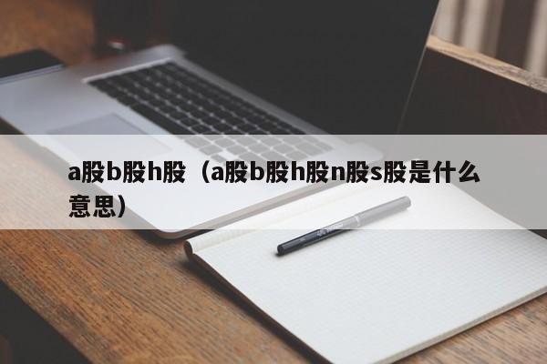 a股b股h股（a股b股h股n股s股是什么意思）