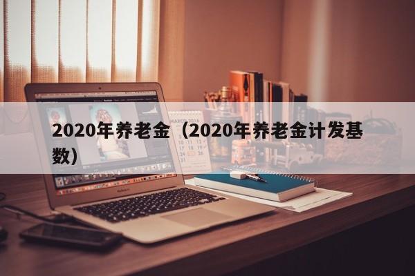 2020年养老金（2020年养老金计发基数）