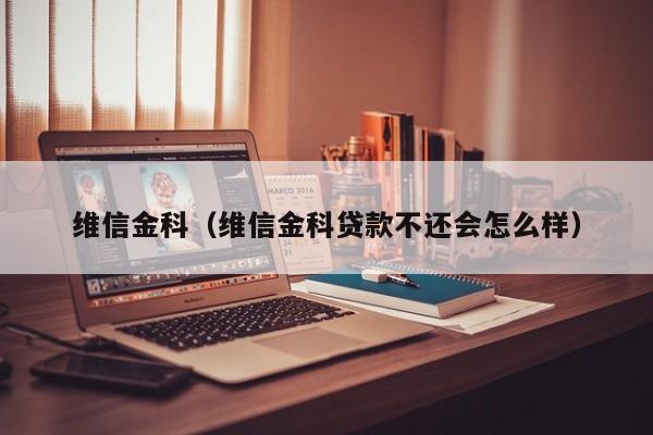 维信金科（维信金科贷款不还会怎么样）