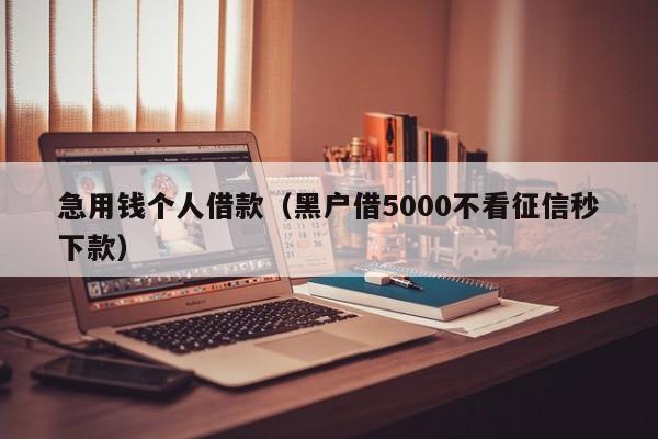 急用钱个人借款（黑户借5000不看征信秒下款）