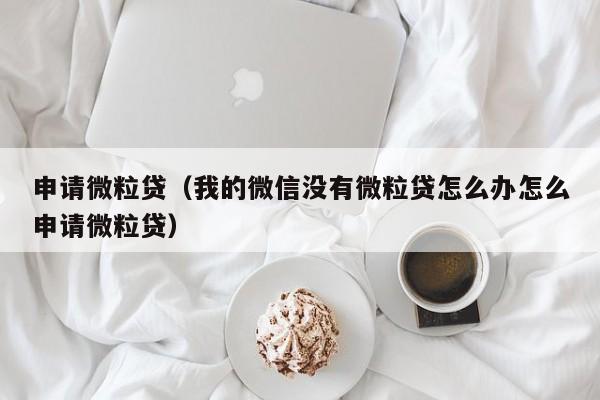 申请微粒贷（我的微信没有微粒贷怎么办怎么申请微粒贷）