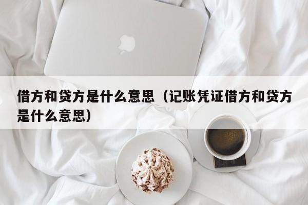 借方和贷方是什么意思（记账凭证借方和贷方是什么意思）