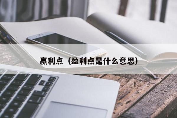 赢利点（盈利点是什么意思）