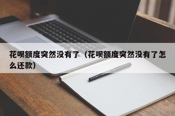 花呗额度突然没有了（花呗额度突然没有了怎么还款）