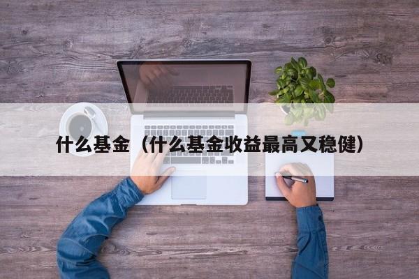 什么基金（什么基金收益最高又稳健）
