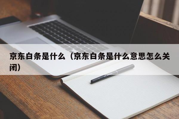 京东白条是什么（京东白条是什么意思怎么关闭）