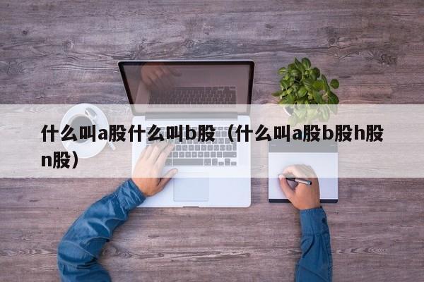 什么叫a股什么叫b股（什么叫a股b股h股n股）
