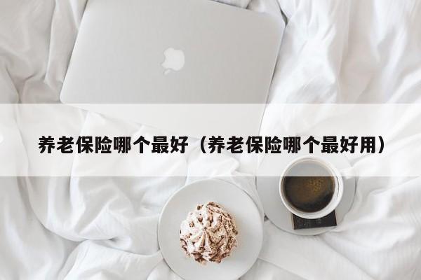 养老保险哪个最好（养老保险哪个最好用）