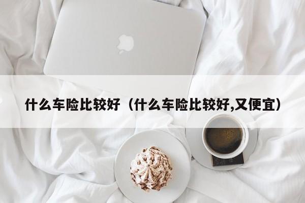 什么车险比较好（什么车险比较好,又便宜）