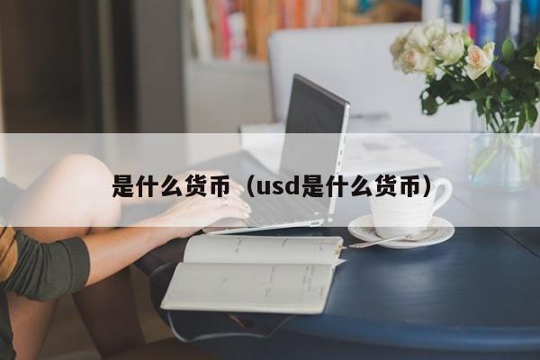 是什么货币（usd是什么货币）