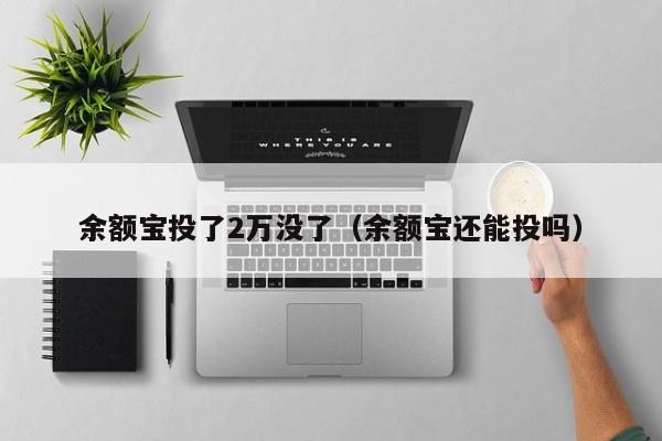 余额宝投了2万没了（余额宝还能投吗）