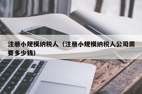 注册小规模纳税人（注册小规模纳税人公司需要多少钱）