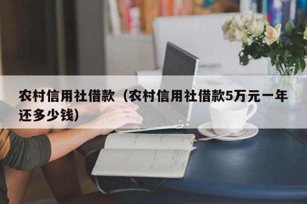 农村信用社借款（农村信用社借款5万元一年还多少钱）