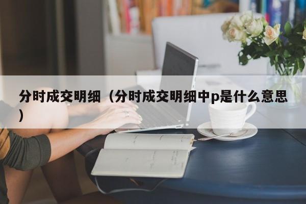 分时成交明细（分时成交明细中p是什么意思）