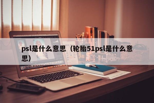 psl是什么意思（轮胎51psl是什么意思）