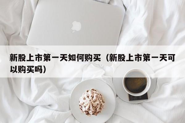 新股上市第一天如何购买（新股上市第一天可以购买吗）