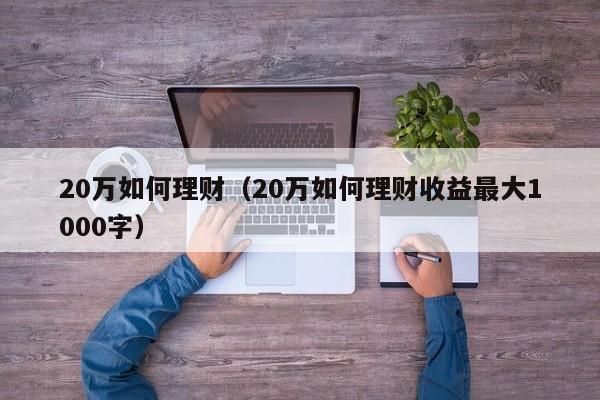 20万如何理财（20万如何理财收益最大1000字）