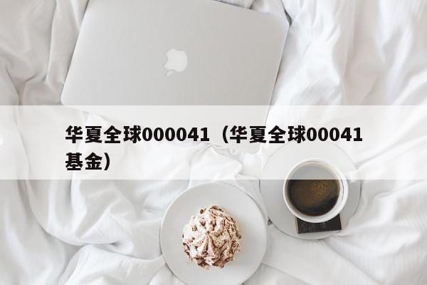华夏全球000041（华夏全球00041基金）