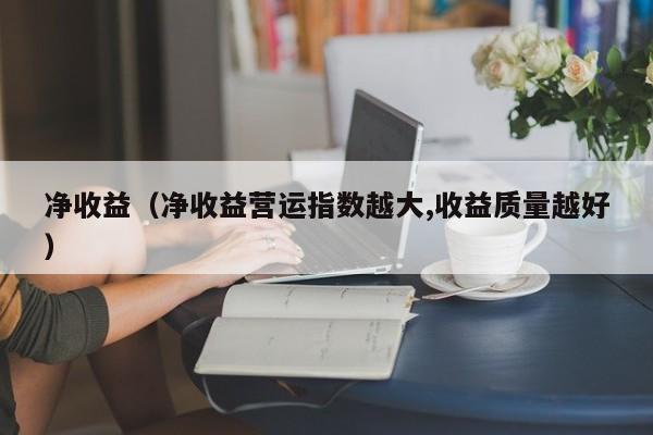 净收益（净收益营运指数越大,收益质量越好）