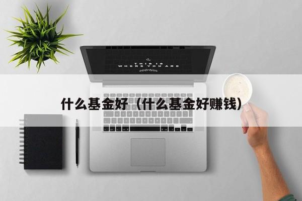 什么基金好（什么基金好赚钱）