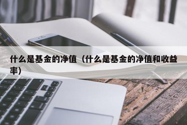什么是基金的净值（什么是基金的净值和收益率）
